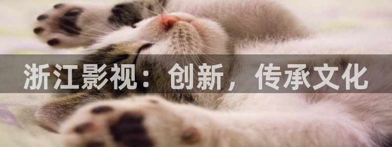 小桃子电影：浙江影视：创新，传承文化