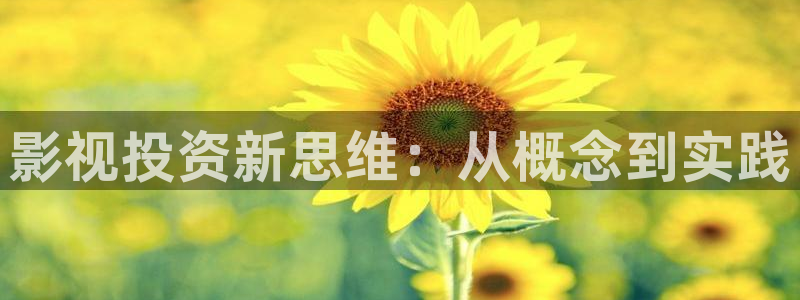 桃子影视在线免费观看：影视投资新思维：从概念到实践