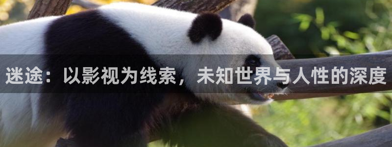 给桃子的信 电影