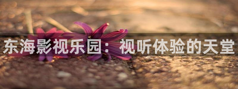 桃子影院电视剧免费观看：东海影视乐园：视听体验的天堂