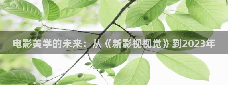 桃子影视怎么看不了：电影美学的未来：从《新影视视觉》到2023年