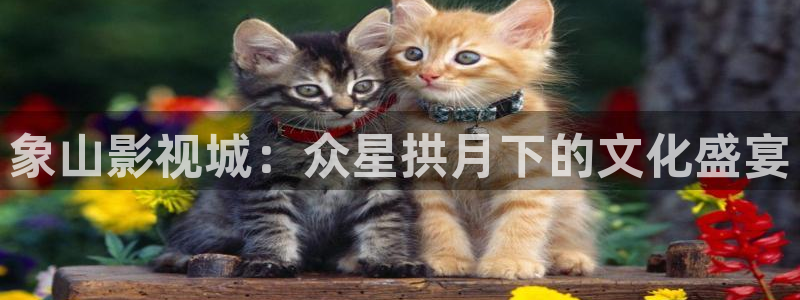 一色桃子在线播放电影：象山影视城：众星拱月下的文化盛宴